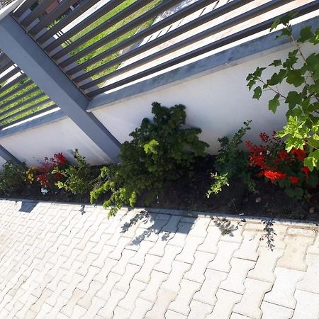 Apartament Saguna Sînnicolau Mare Exteriér fotografie